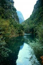 Litani